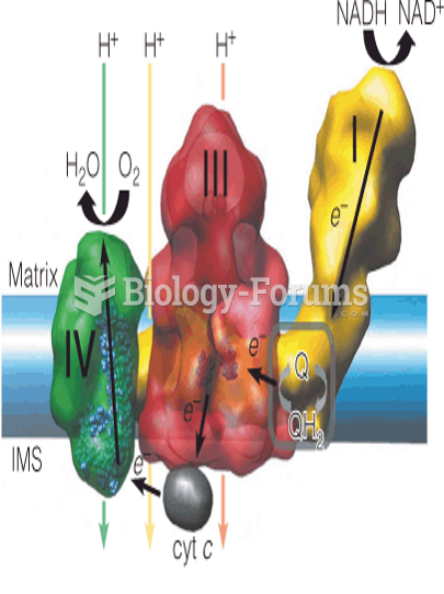 Model of proposed supercomplex of complexes I, III, and IV