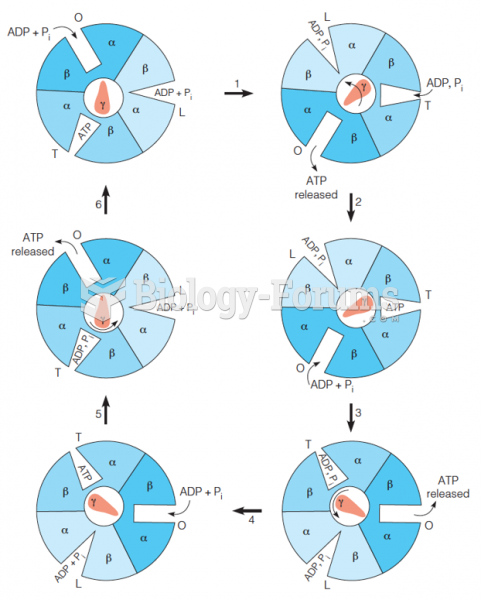 Binding change model for ATP synthase