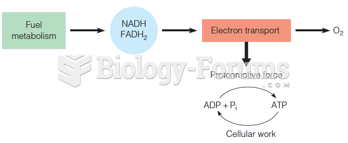 ADP as a substrate for phosphorylation