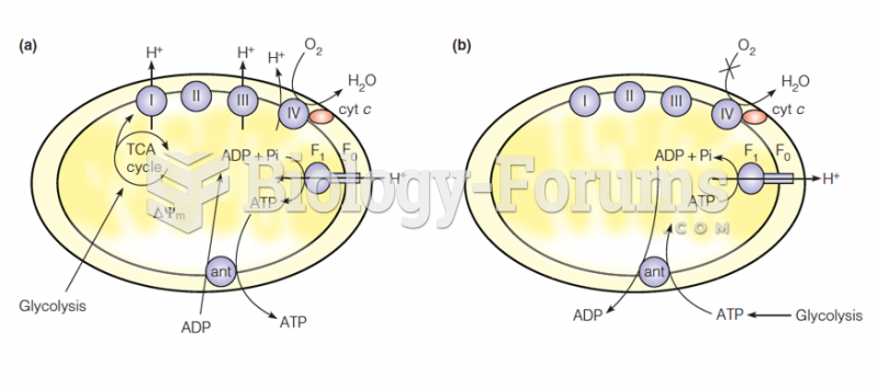 Reversibility of F1F0 ATP synthase