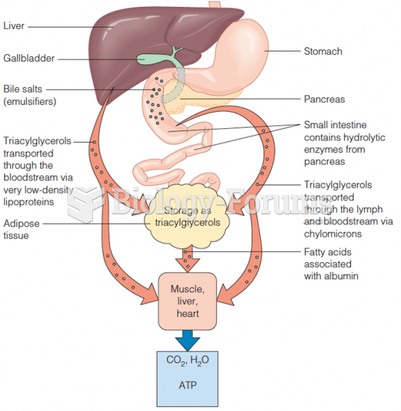 Overview of fat digestion, absorption, storage, and mobilization in the human