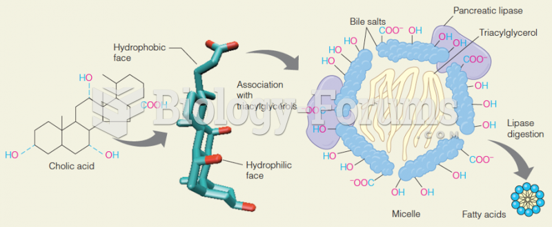 Action of bile salts in emulsifying fats in the intestine