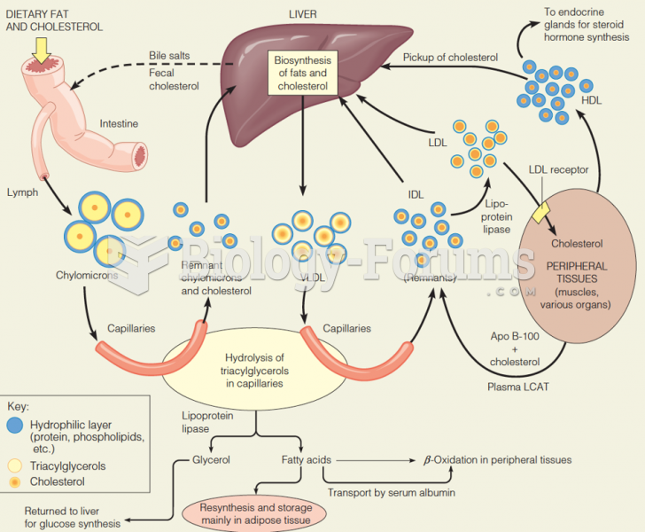 Overview of lipoprotein transport pathways and fates