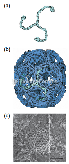 Structure of a clathrin-coated pit