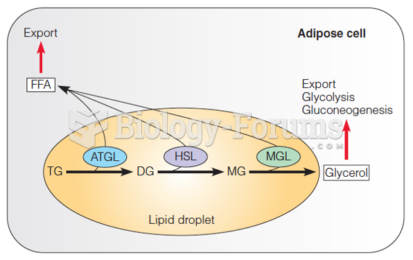 Mobilization of adipose cell triacylglycerols by lipolysis