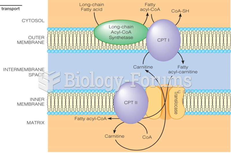 The carnitine acyltransferase system, for transport of fatty acyl-CoAs into mitochondria
