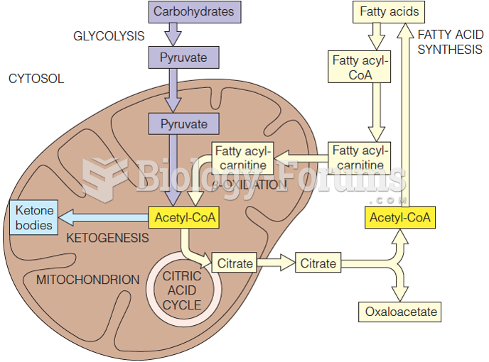 Acetyl-CoA as a key intermediate between fat and carbohydrate metabolism
