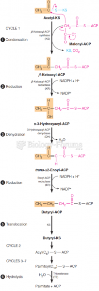 Synthesis of palmitate, starting with malonyl-ACP and acetyl-KS