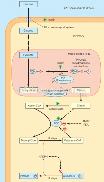 Regulation of fatty acid synthesis in animal cells