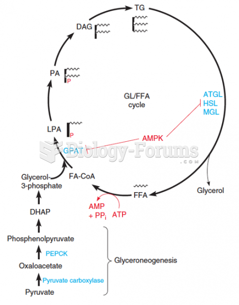 Glycerolipid/free fatty acid cycle and glyceroneogenesis
