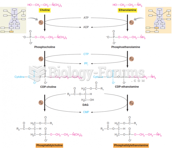 Synthesis of phosphatidylcholine and phosphatidylethanolamine in mammals