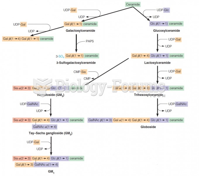 Pathways of synthesis of glycosphingolipids