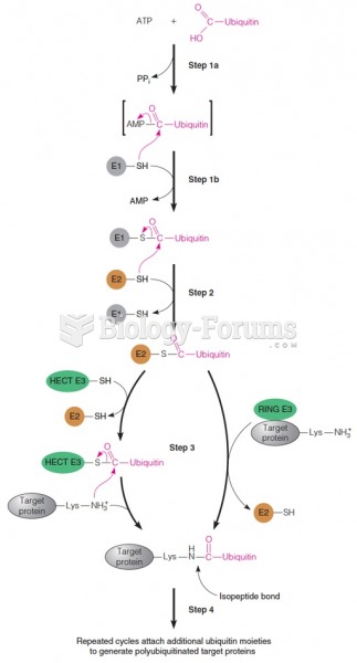 Enzymatic pathway for attachment of ubiquitin to target proteins