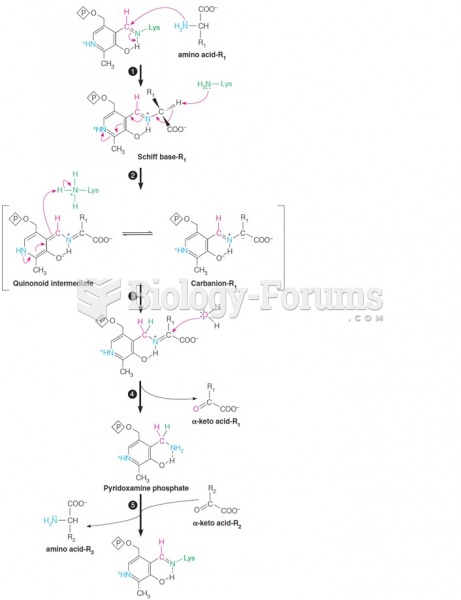 Involvement of pyridoxal phosphate in transamination