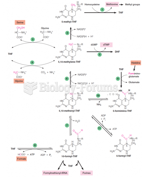 Metabolic reactions involving synthesis, interconversion, and utilization of one-carbon adducts of t