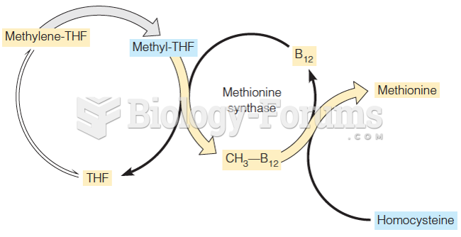 A relationship between folate and B12 metabolism