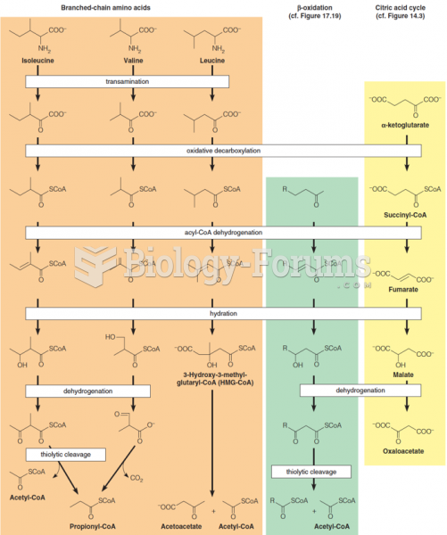 Branched-chain amino acid oxidation, fatty acid b-oxidation, and the citric acid cycle share a commo