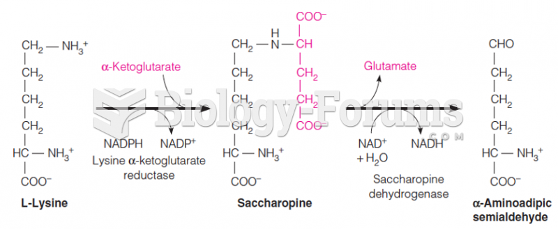 Saccharopine pathway