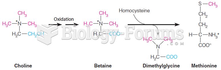 Betaine-homocysteine methyltransferase