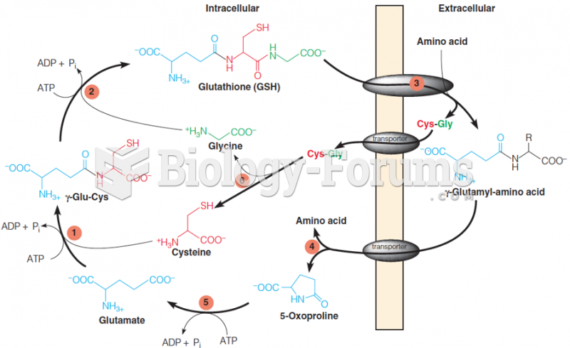 Glutathione and the g-glutamyl cycle