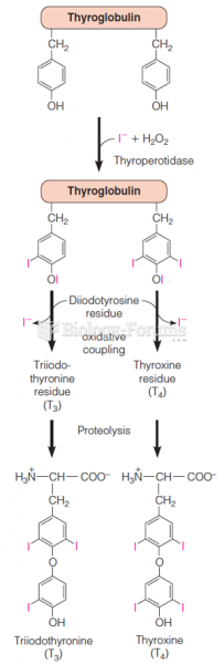 Biosynthesis of thyroid hormones as residues in the protein thyroglobulin