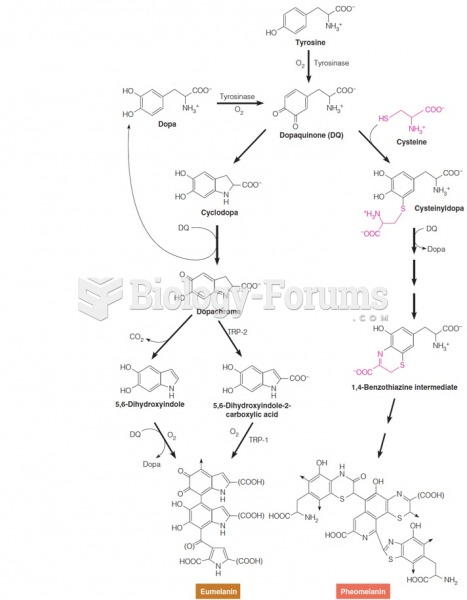Biosynthesis pathways from tyrosine to melanin