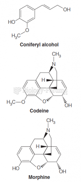 L-Tyrosine synthesis