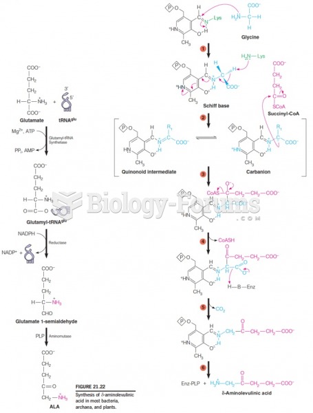 The d-aminolevulinic acid syntheses reaction