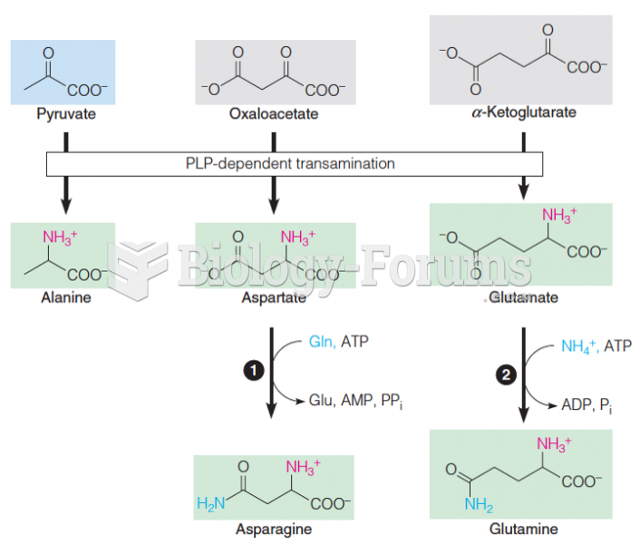 Synthesis of alanine, aspartate, glutamate, asparagine, and glutamine