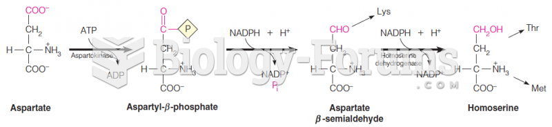 Aspartate leads via homoserine to threonine, lysine, and methionine