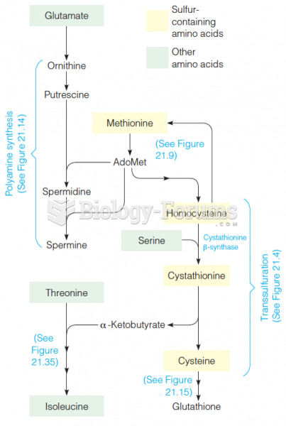Outline of methionine metabolism