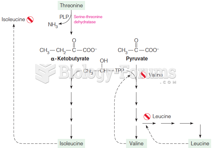 Biosynthesis of valine and isoleucine
