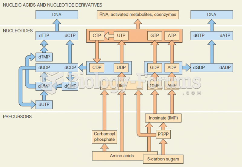 Overview of nucleotide metabolism