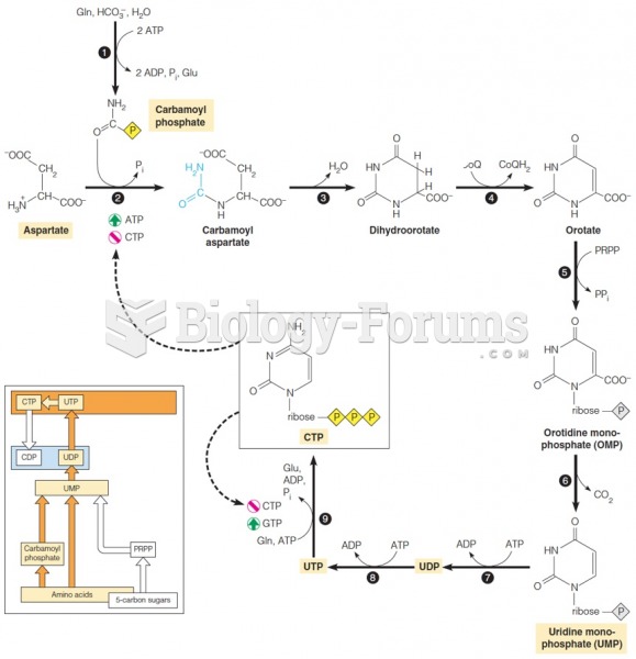 De novo synthesis of pyrimidine nucleotides (Detailed)