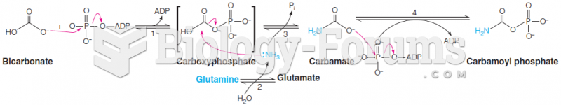 Carbamoyl phosphate synthetase