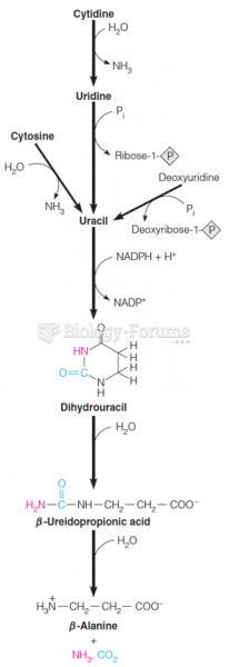 Catabolic pathways in pyrimidine nucleotide metabolism