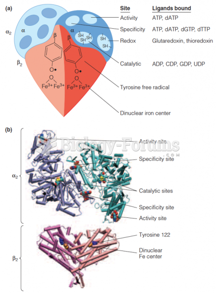 Structure of E. coli ribonucleoside diphosphate reductase