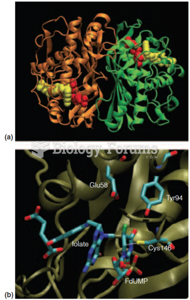 Structure of the homodimeric thymidylate synthase from E. coli