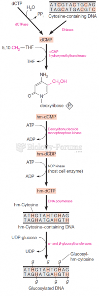 Metabolic pathways leading to nucleotide modifications in T-even phage–infected E. coli