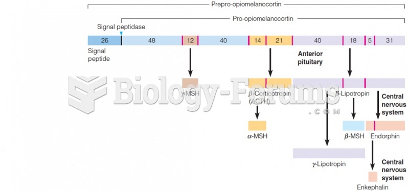 Structure and properties of pro-opiomelanocortin