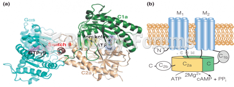 Crystal structure of an adenylate cyclase catalytic domain