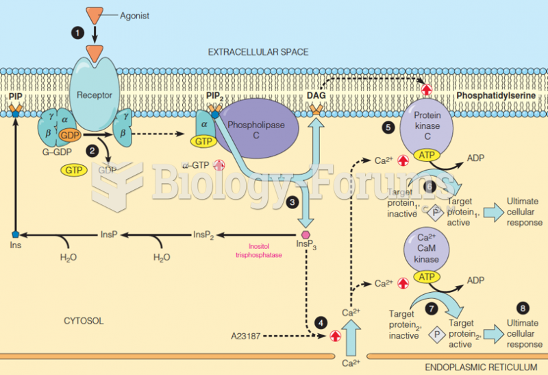 Signal transduction pathways involving phosphoinositide turnover