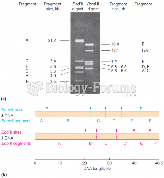 Fragmentation of l bacteriophage DNA with restriction endonucleases EcoRI or BamHI