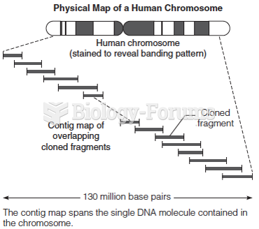 Sequencing a large chromosome by individual sequence determination of cloned fragments in sequences