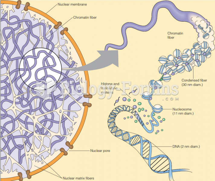 Levels of chromatin structure