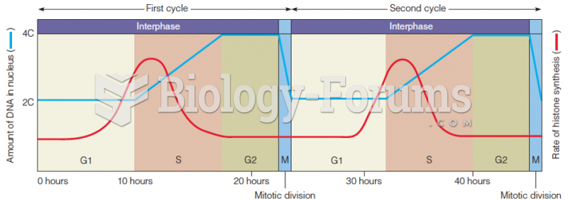 The eukaryotic cell cycle