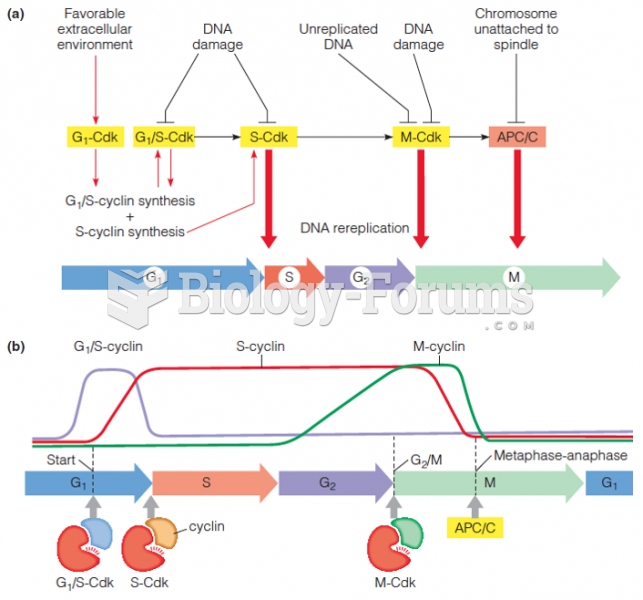 Control of the cell cycle by cyclin-dependent kinases, and the checkpoints at which they operate