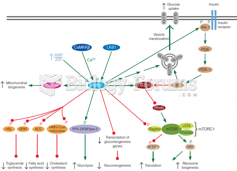 AMPK and mTOR signaling pathways
