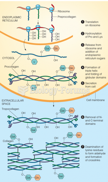 Biosynthesis and assembly of collagen