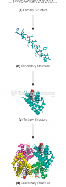 The four levels of protein structure